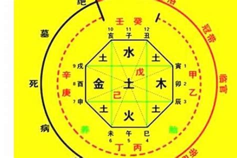 如何算命|生辰八字算命、五行喜用神查詢（免費測算）